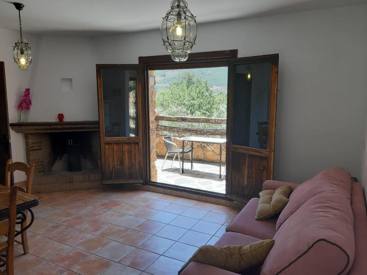 Suite con cama extragrande
