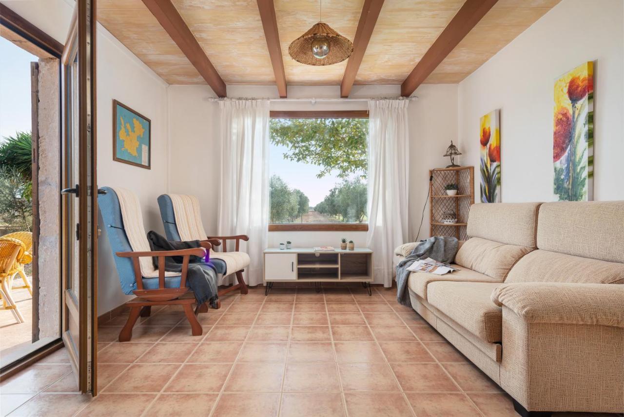 Apartment Terrace,1566982121:JPEG