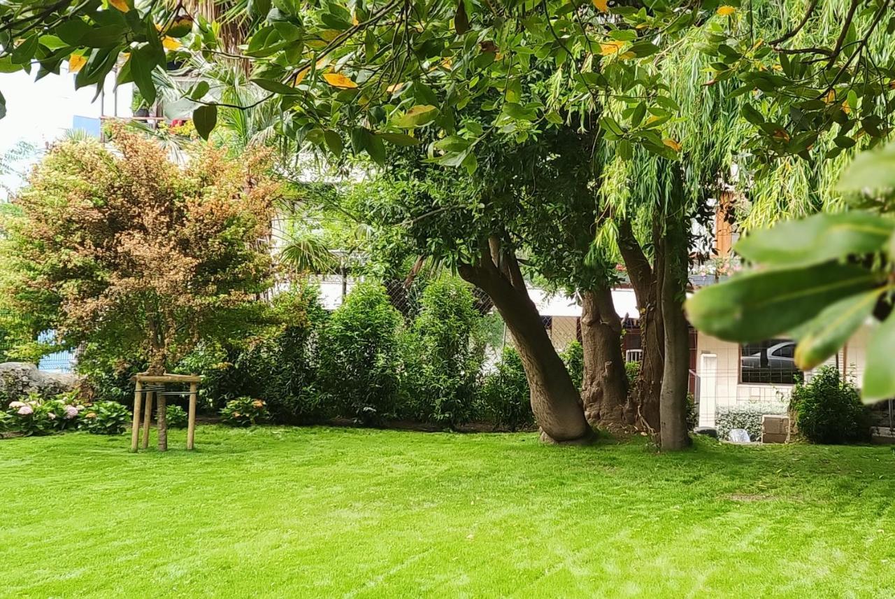Estudio con vistas al jardín