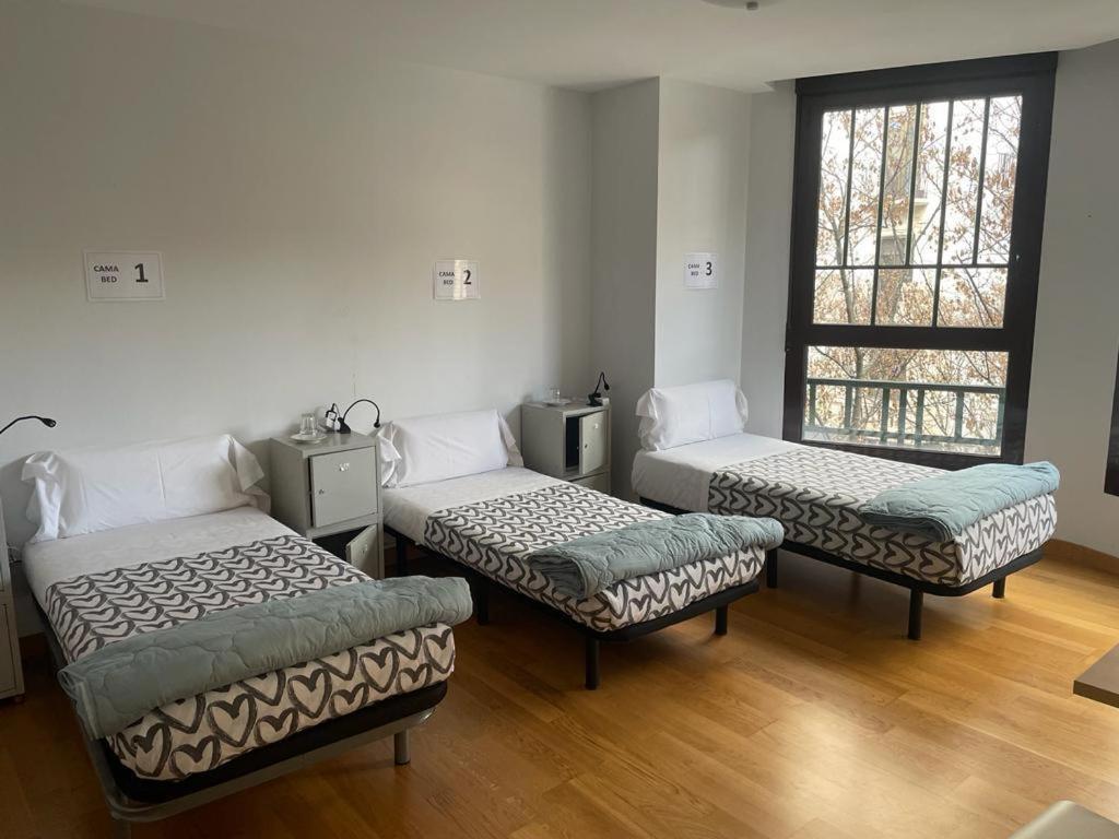 Cama Individual en habitación compartida femenina