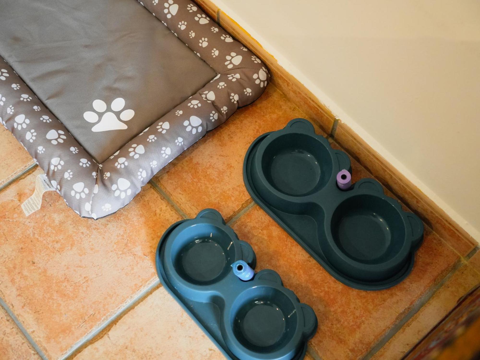 Habitación Doble con acceso a la piscina