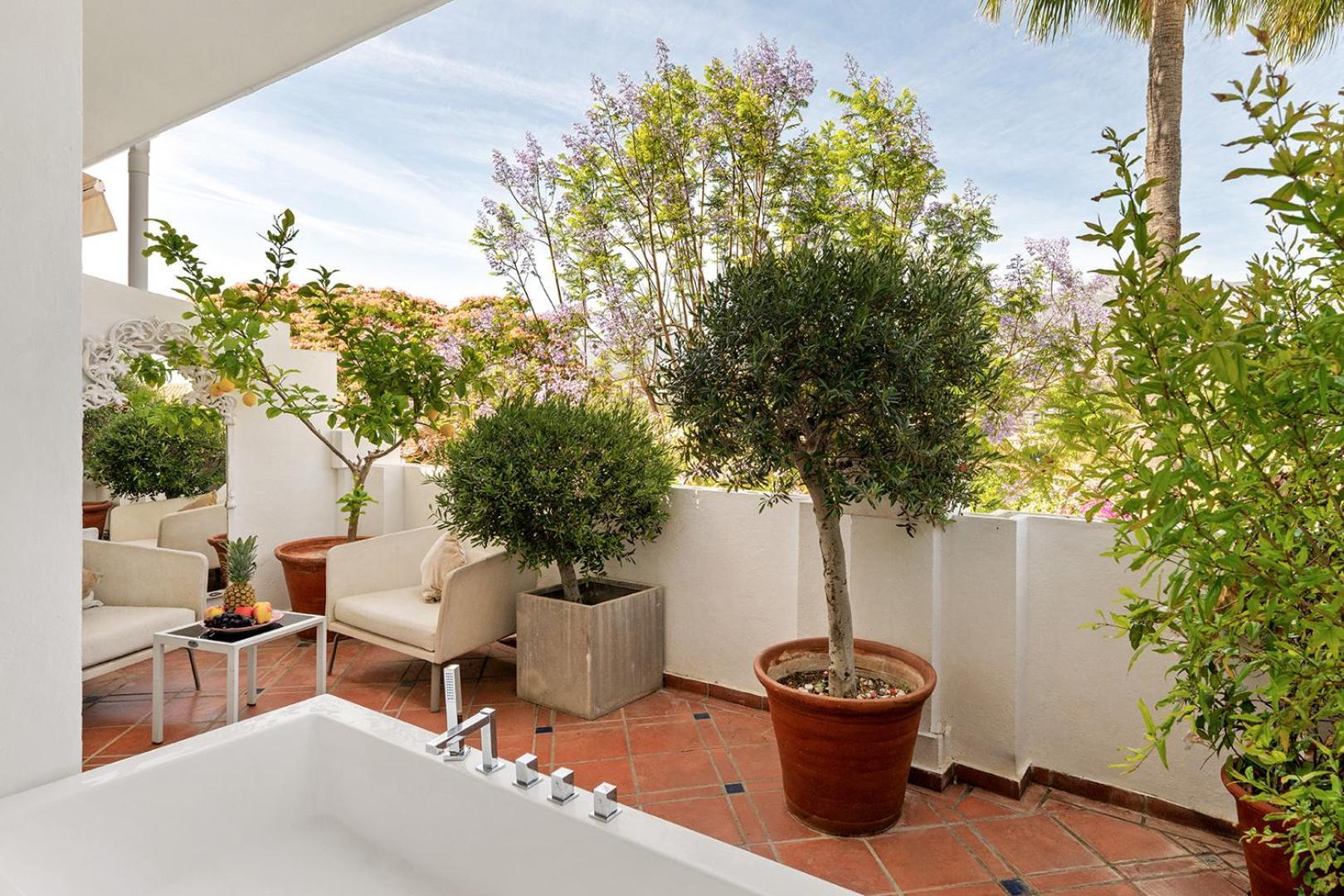 Suite Junior con terraza