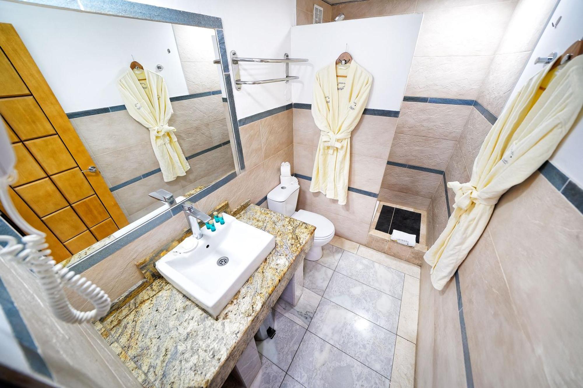 Deluxe One-Bedroom Apartment
