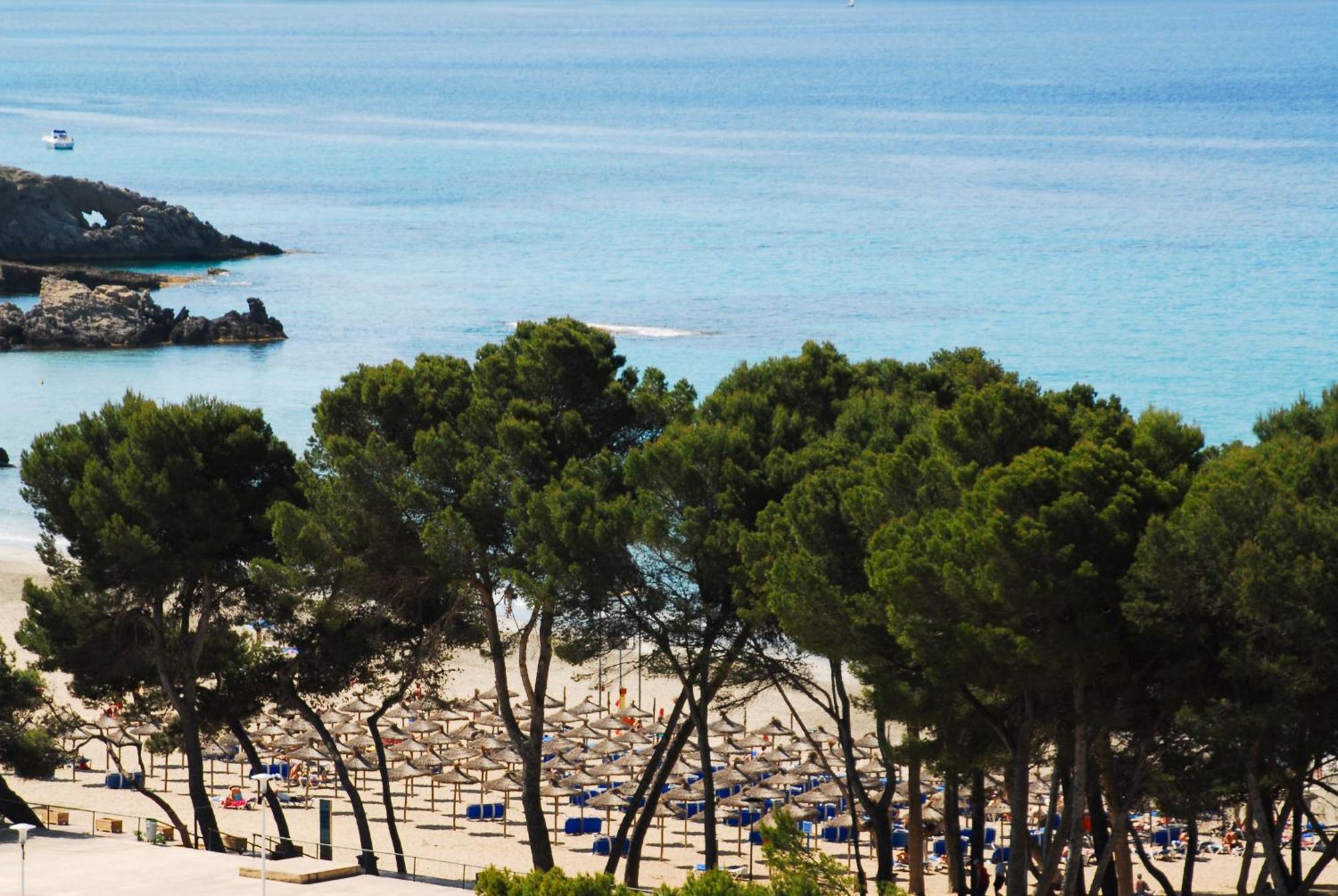 Suite Junior con vistas al mar