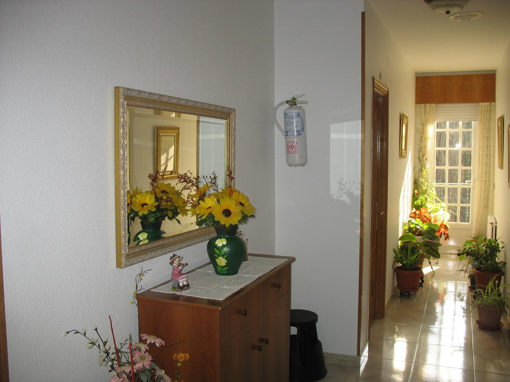 Habitación Individual