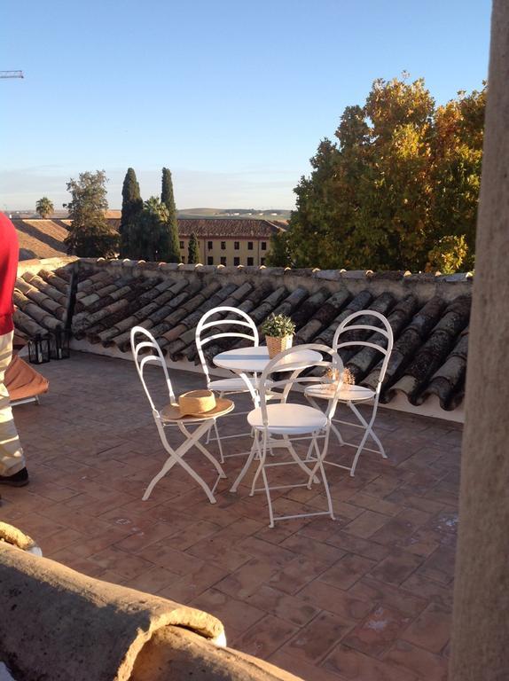 Penthouse Kathedrale