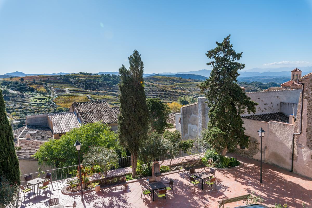 Habitación Doble con balcón y vistas al viñedo y al parque natural