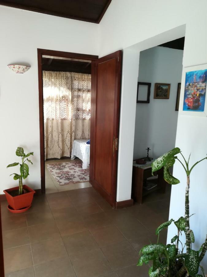 Habitación Individual Estándar con vistas a la montaña