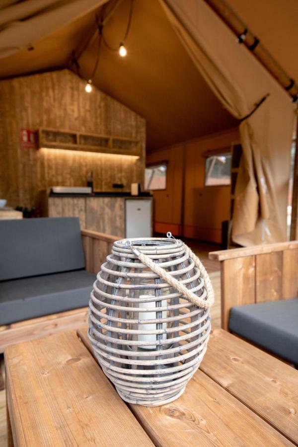 Lodge Nature