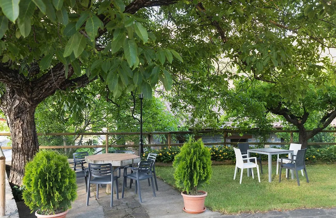 Hotel Cinca-1