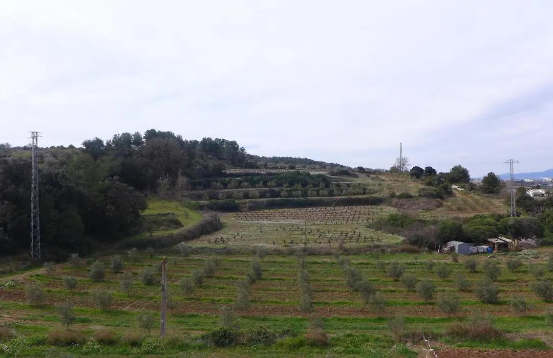 Agroturisme Cal Jeroni-1