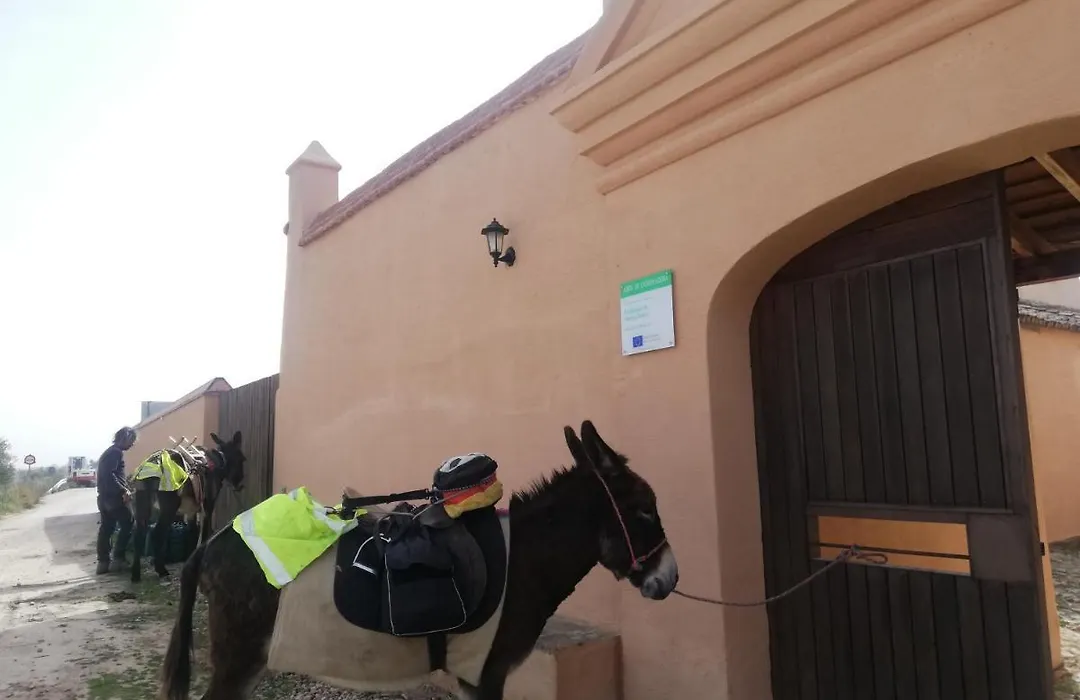 Albergue turístico La Almazara-1