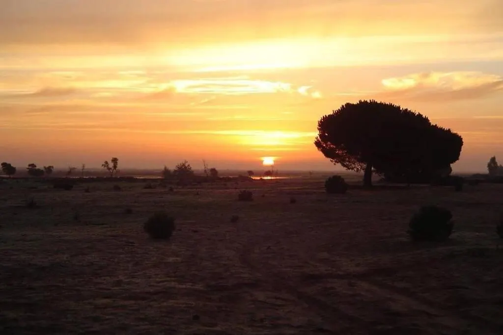 La Cabaña de Doñana-1
