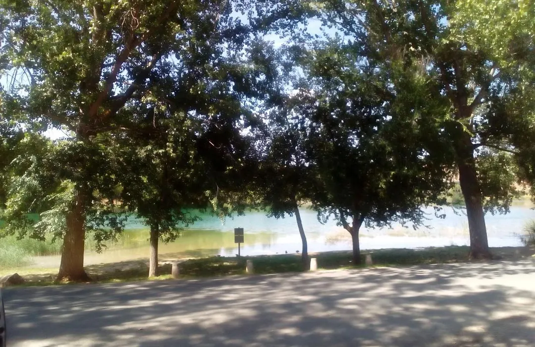 El Molino-1
