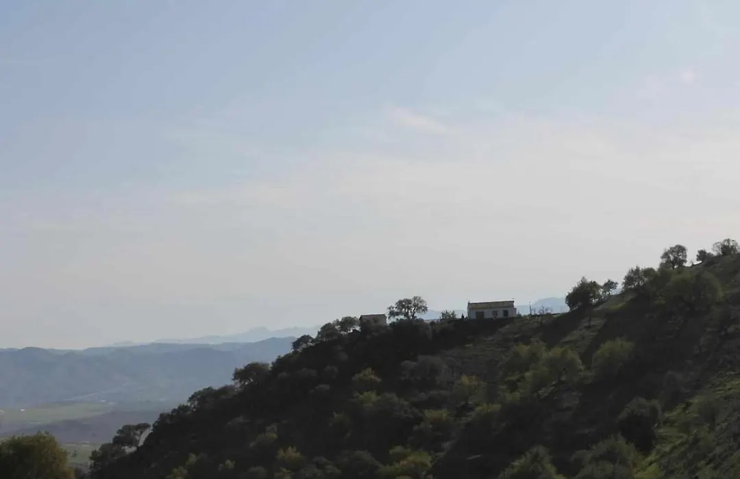 Casa Rural El Chaparro-1