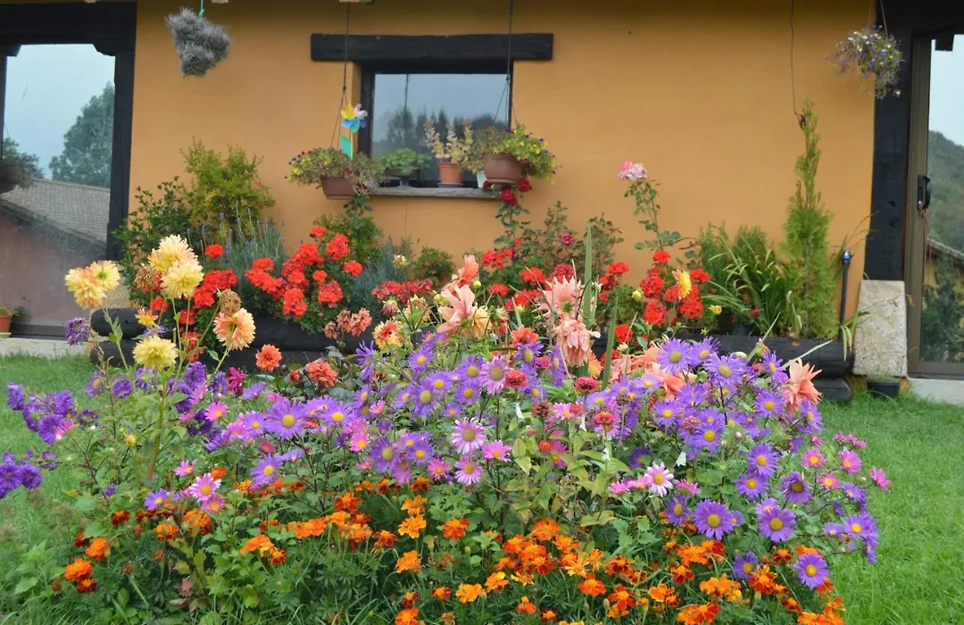 CASUCAS LA GUARIZA ( Casa Marta)-1