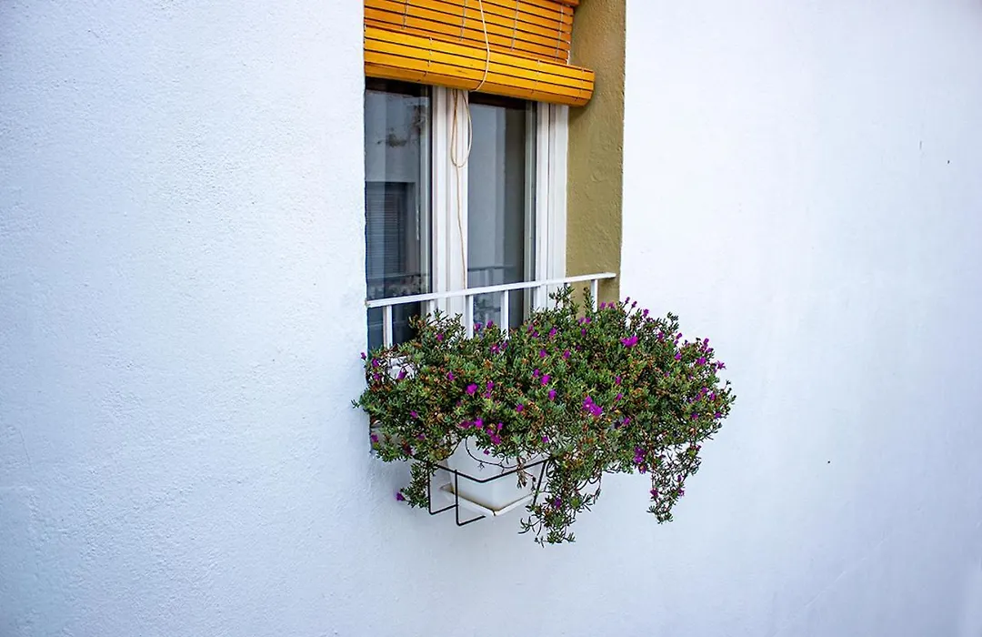 Blue Sardine Hostal Boutique Altea (Adults Only)-1