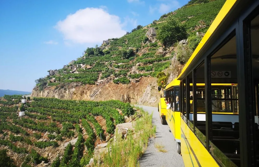 Casa Turística Viladonatus (Ribeira Sacra)-1