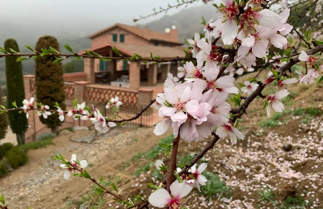 Can Ballus Bed&Breakfast-1