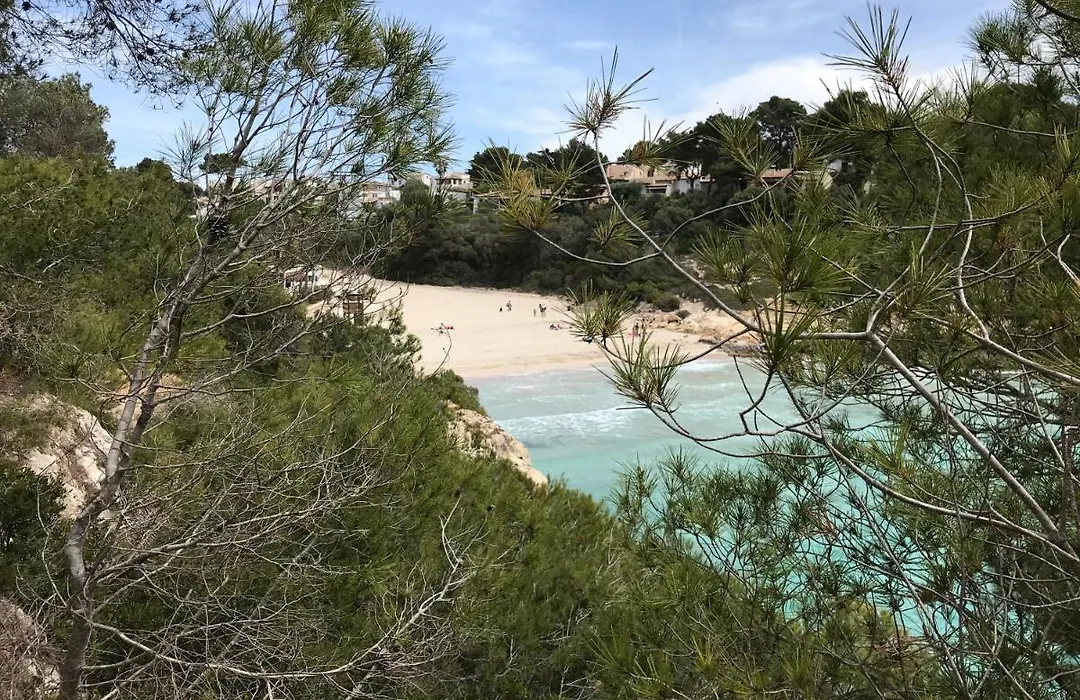 Ses Gavines-Cala Anguila Apartments-1