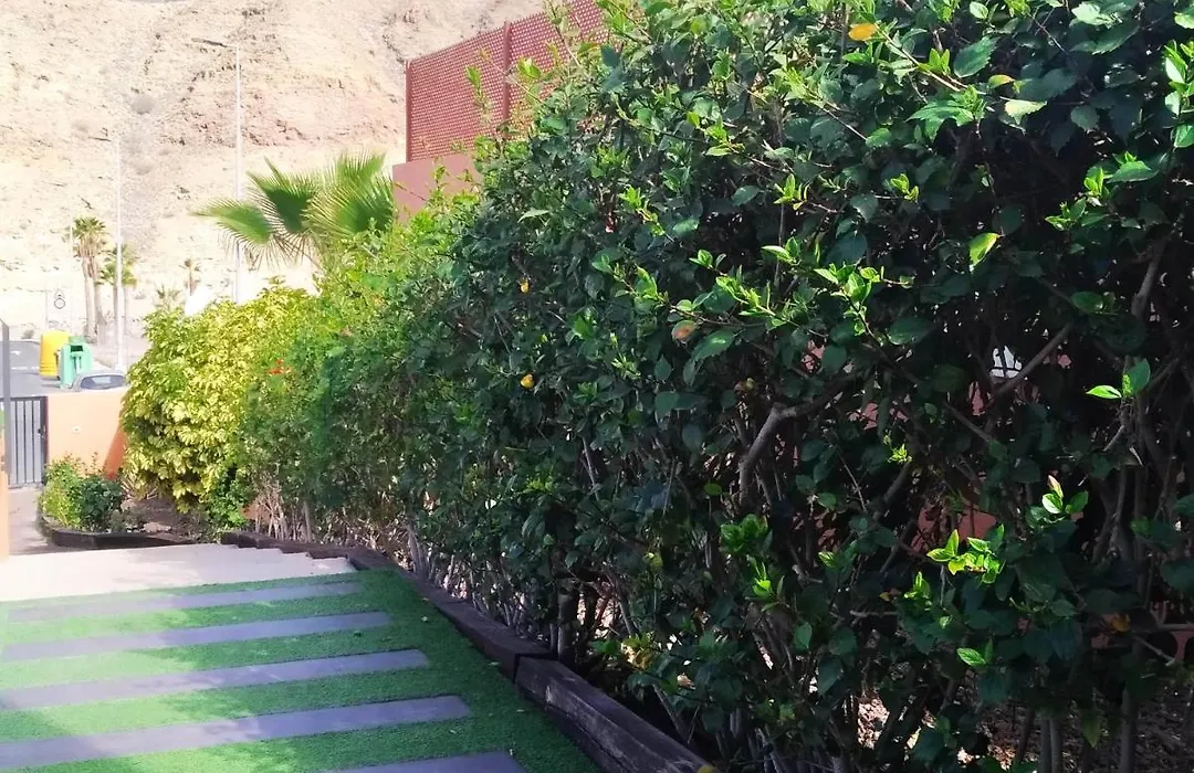 Casas De Tauro-1