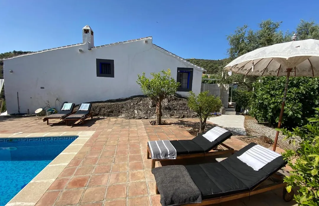 Casa Junius-1
