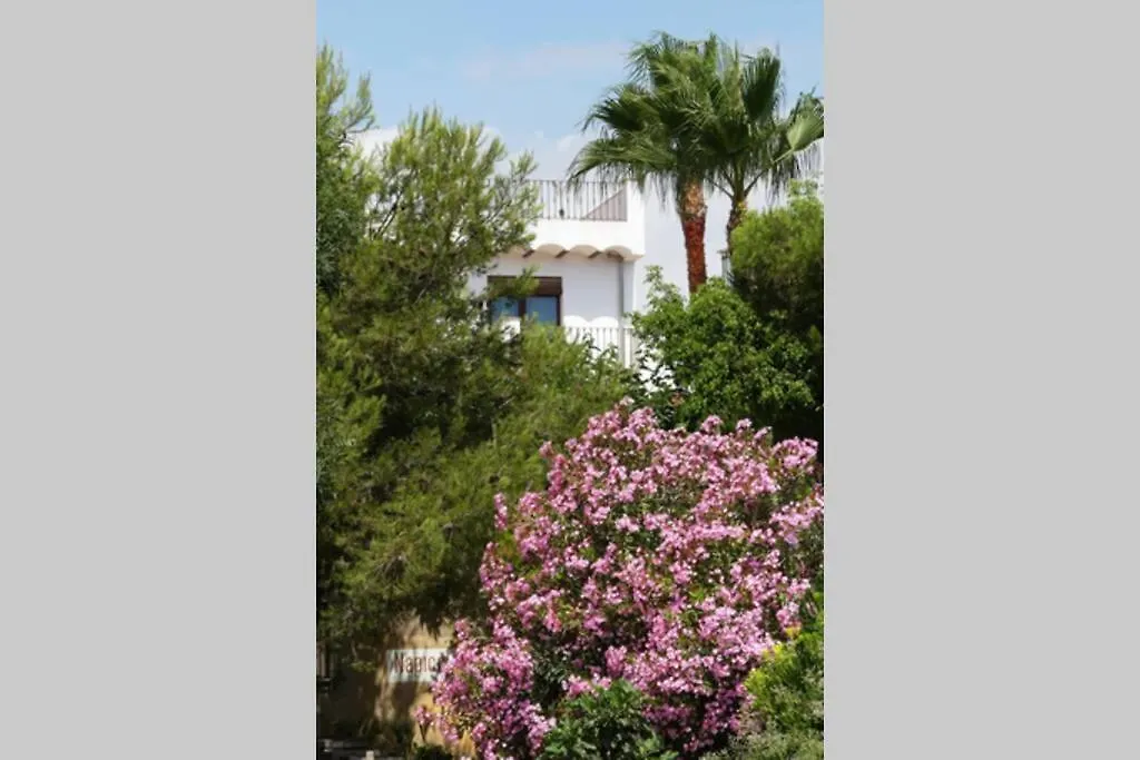 Ca Buganvilla. El corazón de la huerta valenciana-1