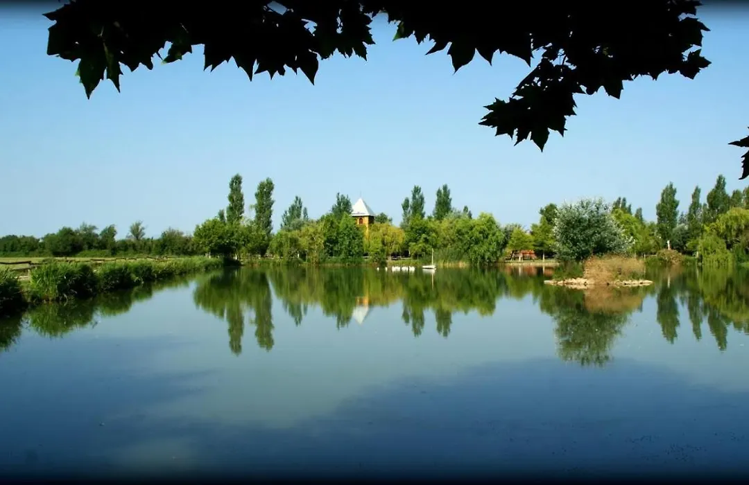 Yeguada Senillosa - Turisme Rural-1