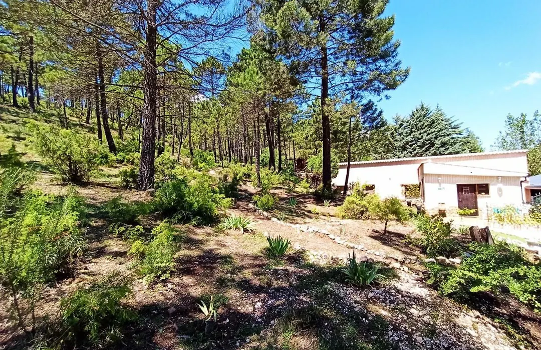 Casa Rubí finca ZAFIRO LAGUNAZO Riopar Parque Natural del Rio Mundo-1