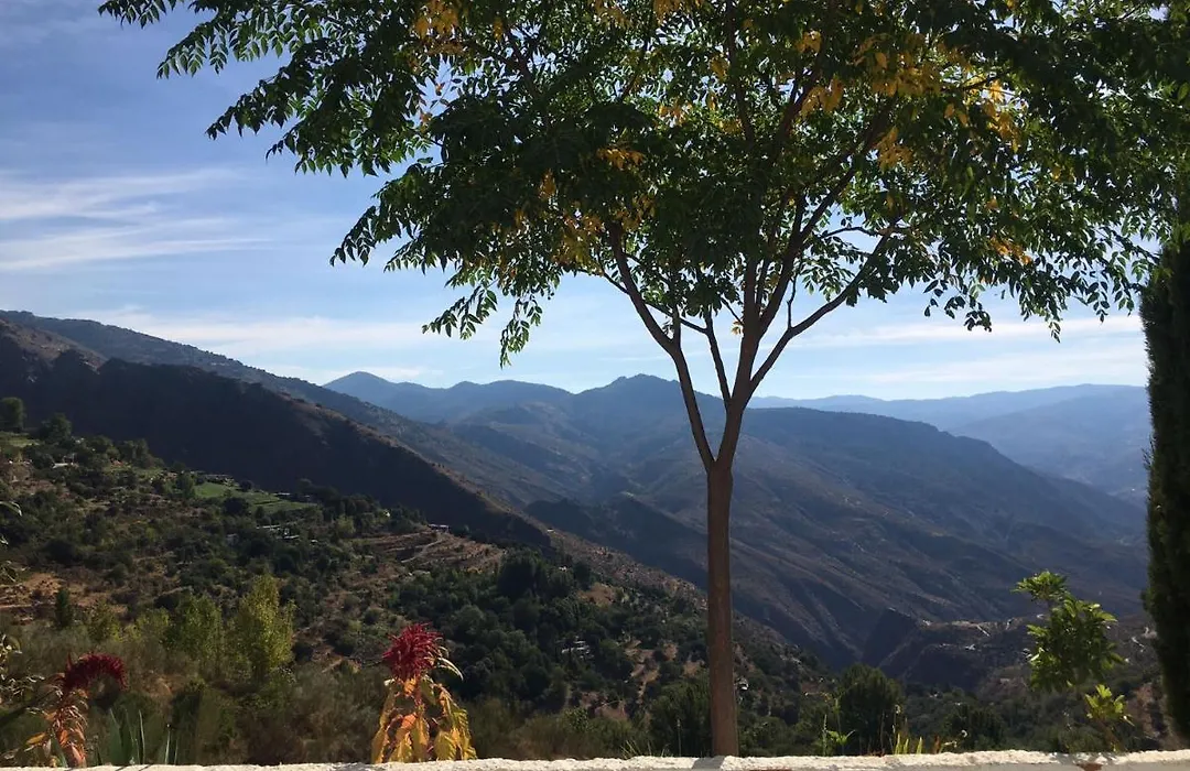 Jardin Andaluz Veleta-1