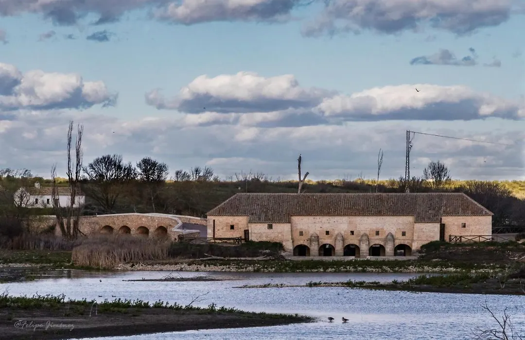 Casa rural Entreolivos-1