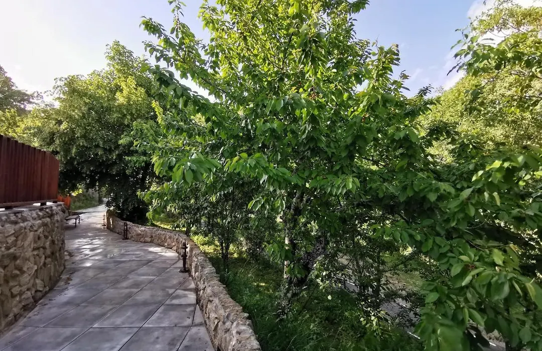 Villa Marel-1