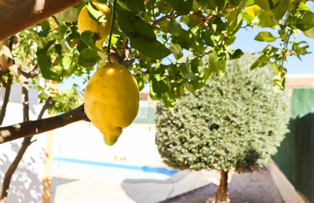 Mazarron Country Club Resort-1