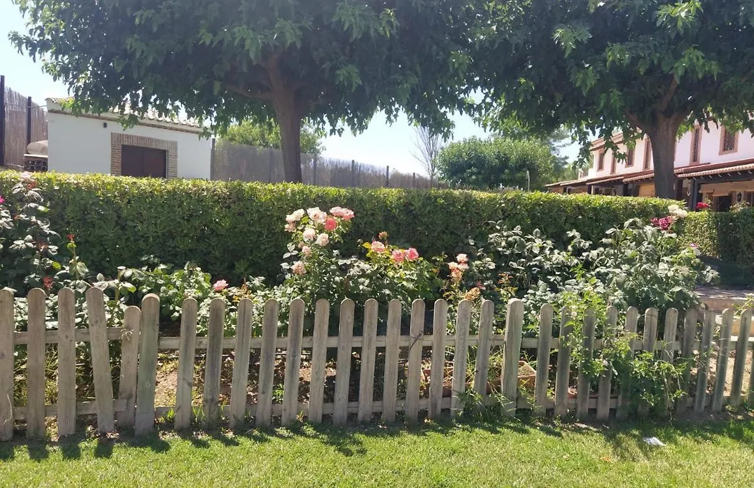 Casa Rural Alamillo-1