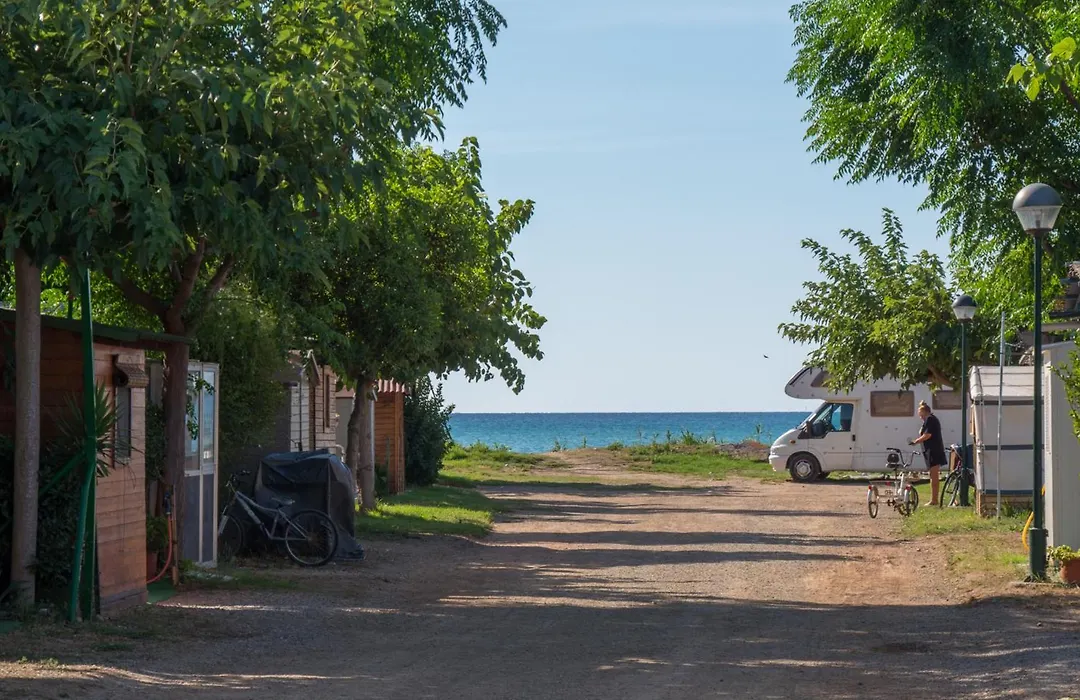 Camping Playa y Fiesta-1
