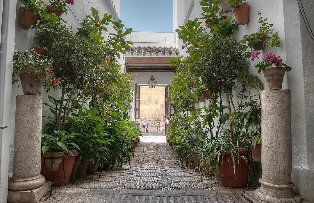 Los Patios-1