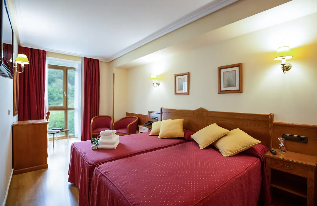 Hotel Ciudad Cangas de Onis-1