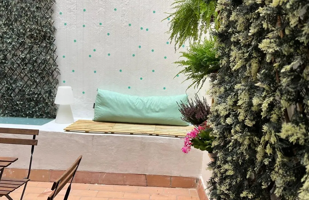 Apartamento con encanto y terraza en Barri Vell de Girona, El Cul de la Lleona-1