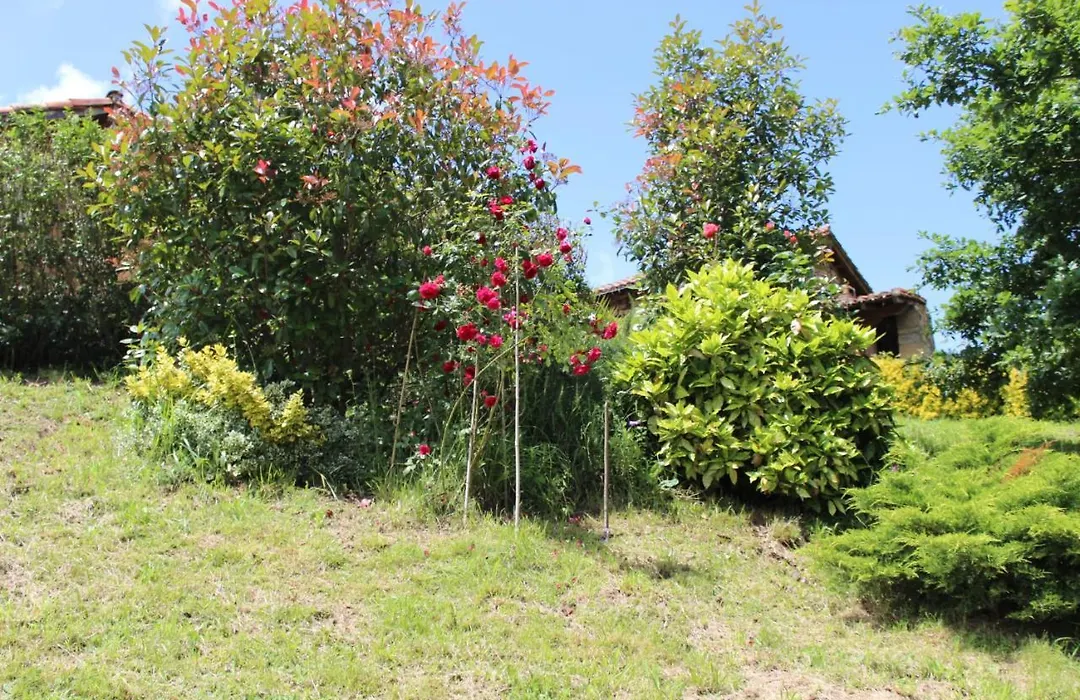 El Refugio de Luena-1