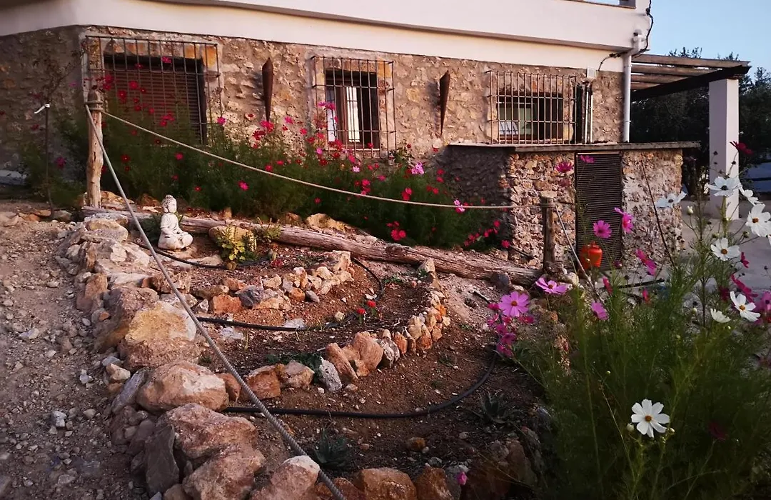 Cortijo Samadhi-1