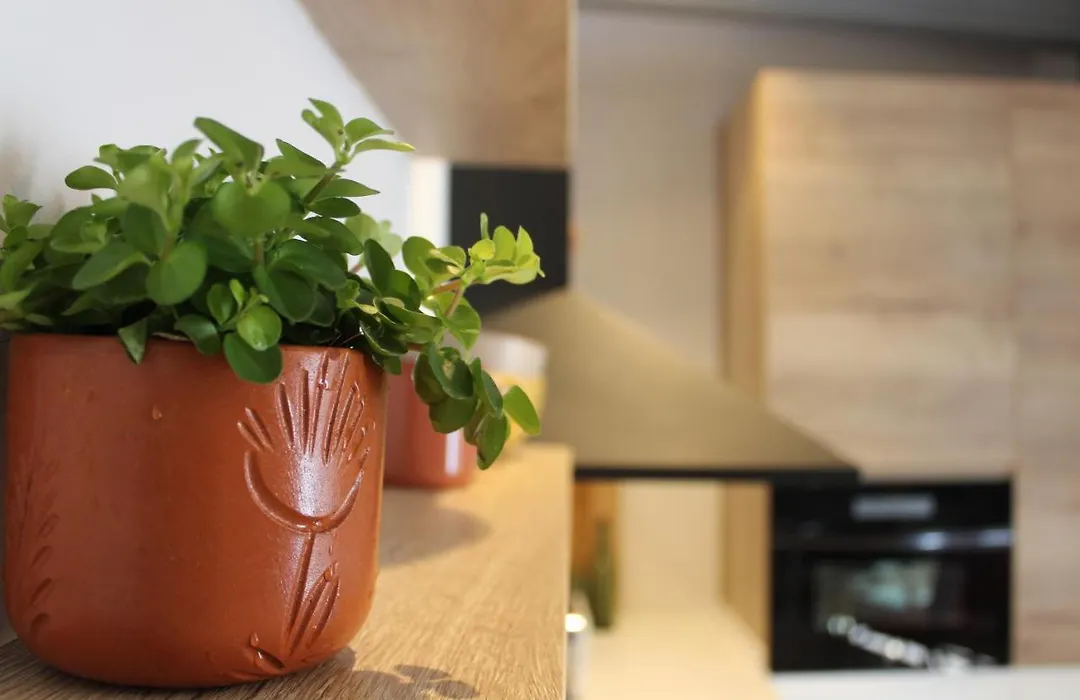 XIMENETXE Vivienda Turística-1