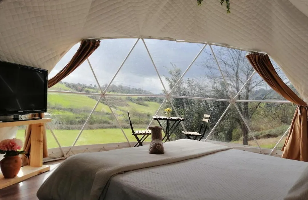 Glamping Quintana-1