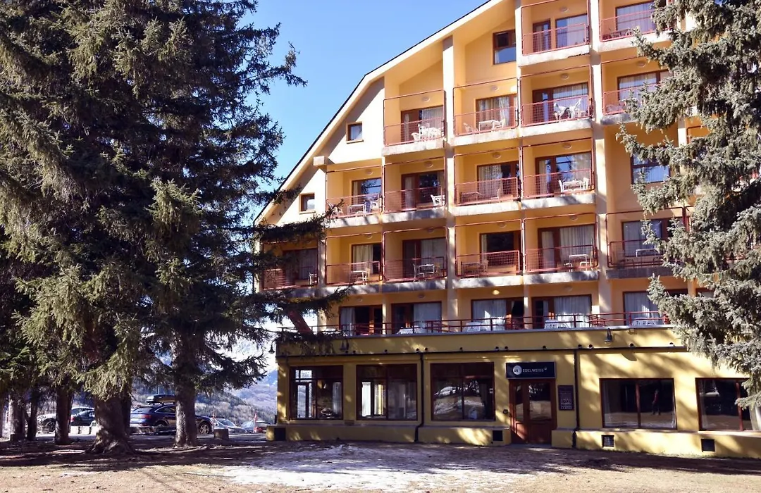 Hotel Snoe Edelweiss-1
