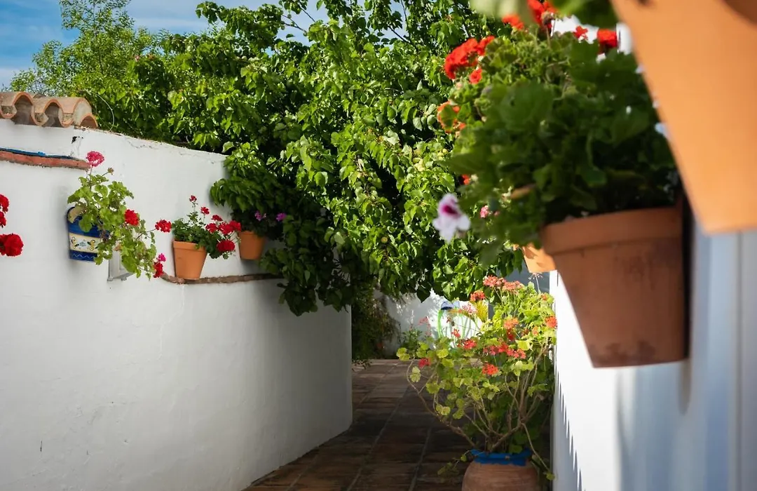 Apartamentos Turísticos Cabo Roche-1