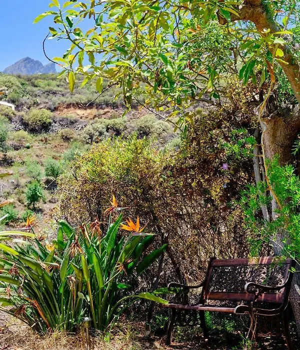 Tizziri Rural-1