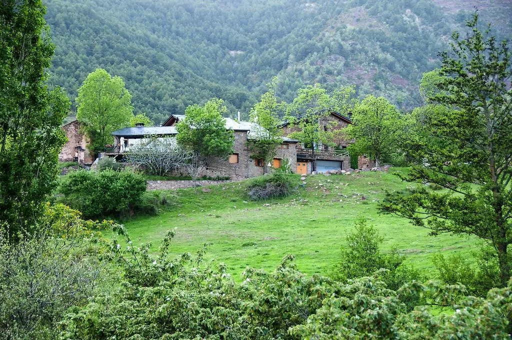 Cal Sodhi-1