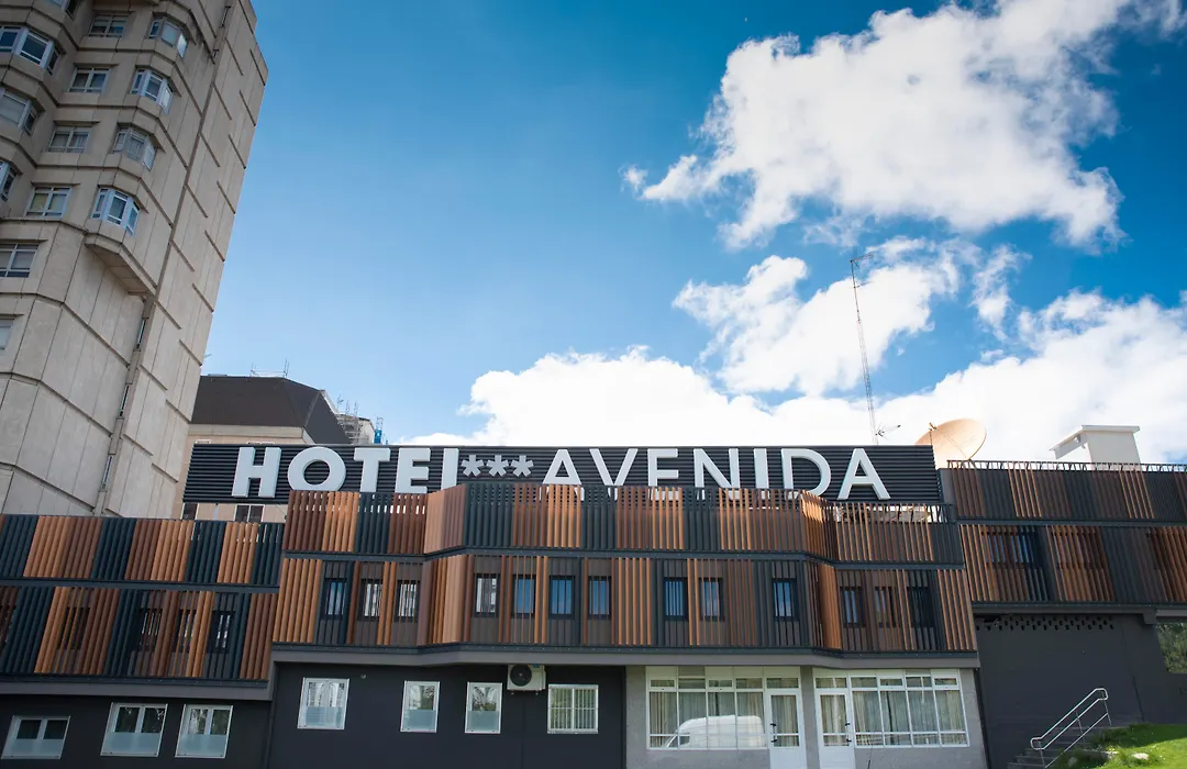 Hotel Avenida-1