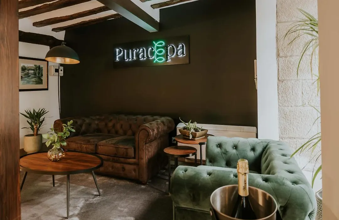 Puracepa - Urban Suites-1