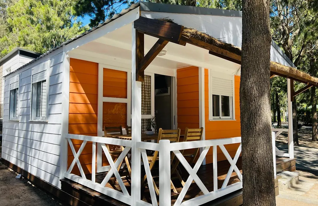 Camping Paloma-1