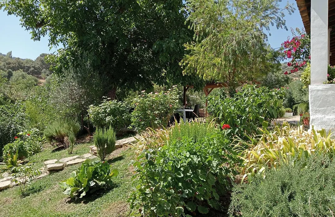 Casa Rural La Maquinilla-1
